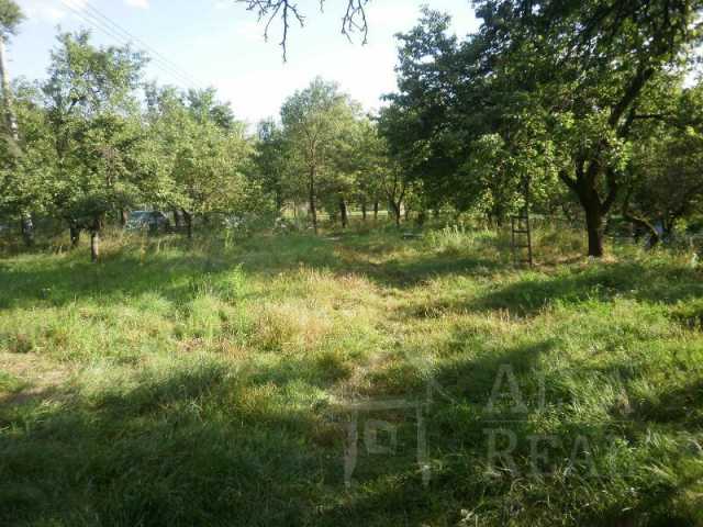 Obrázek k zakázce č.: 154474