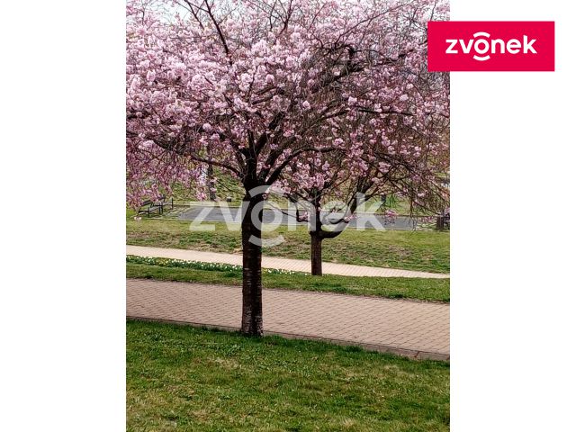 Obrázek k zakázce č.: 714402