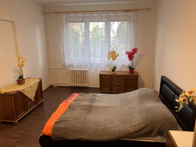 Obrázek k zakázce č.: 732161