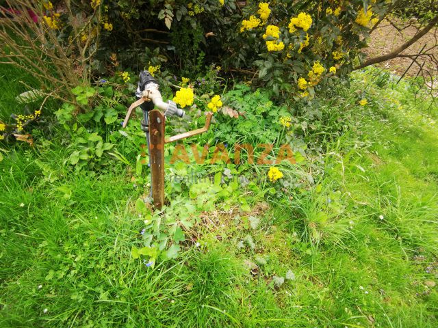 Obrázek k zakázce č.: 703496