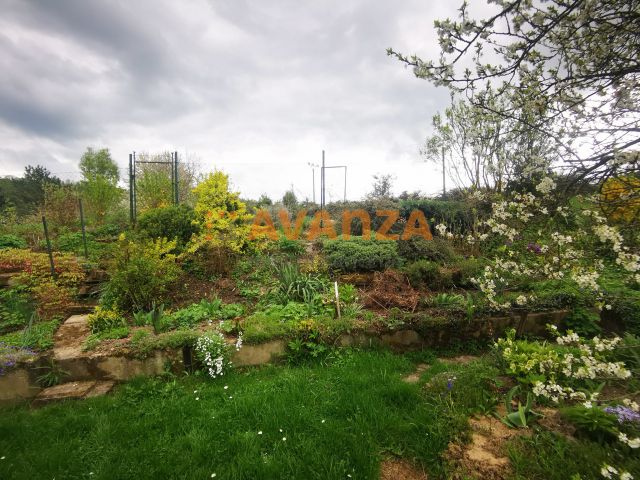 Obrázek k zakázce č.: 703496