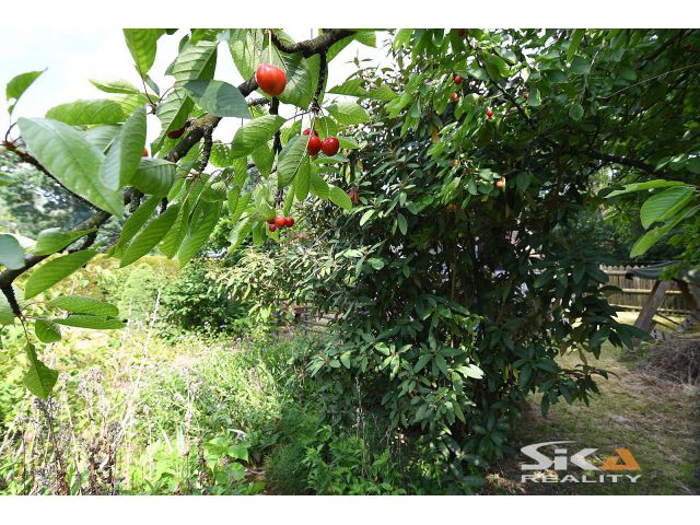 Obrázek k zakázce č.: 672236