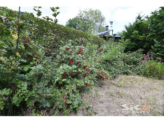 Obrázek k zakázce č.: 672236