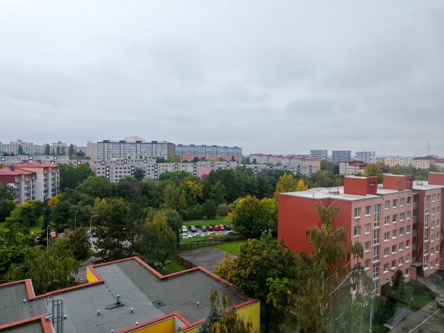 Obrázek k zakázce č.: 710962