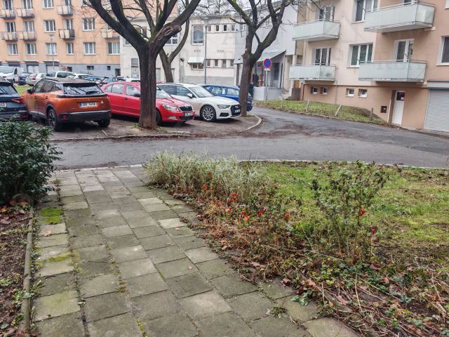 Obrázek k zakázce č.: 723531